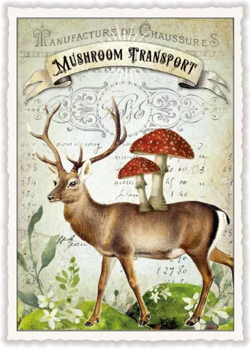Mushroom Transport, Postcard