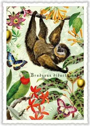 Wildlife, Postcard