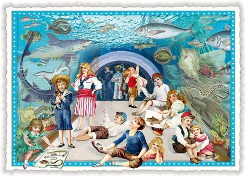 Aquarium, Postcard