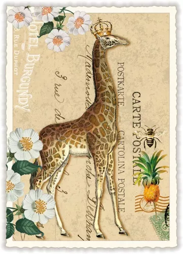 Giraffe, Postcard