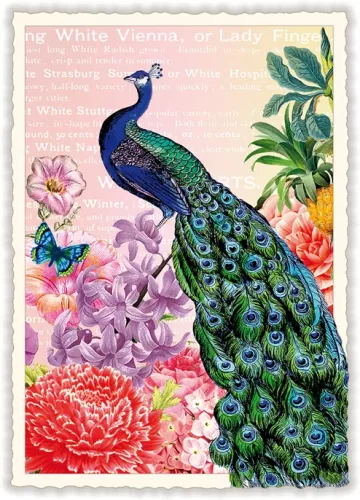 Peacock, Postcard
