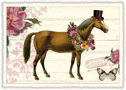 Horse, Postcard