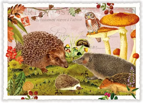 Autumn Feelings, Postcard