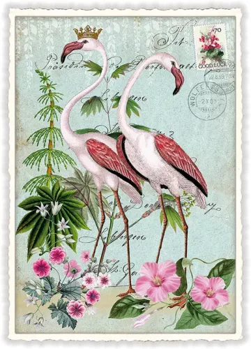 Flamingo Postcard