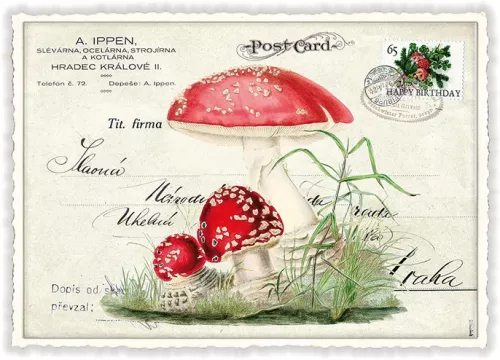 Toadstool, Postcard