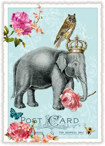 Elephant, Postcard