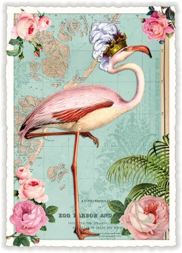 Flamingo, Postcard