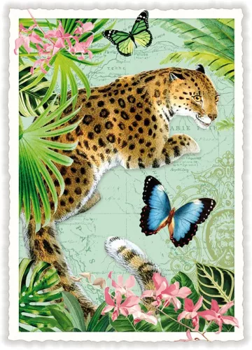 Leopard, Postcard