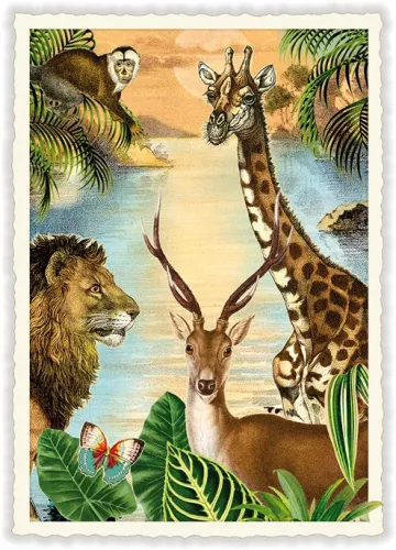 Jungle, Postcard