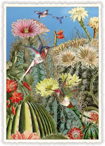 Kolibri, Postcard