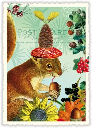 Squirrell, Postcard