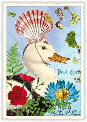 Duck, Postcard