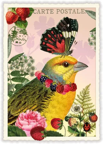 Birds, Postcard
