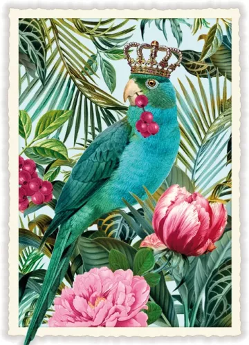 Parrot, Postcard