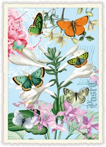 Butterflies, Postcard