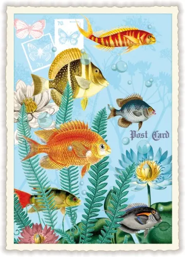 Fish, Postcard