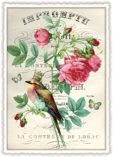 Peony with bird, Postcard