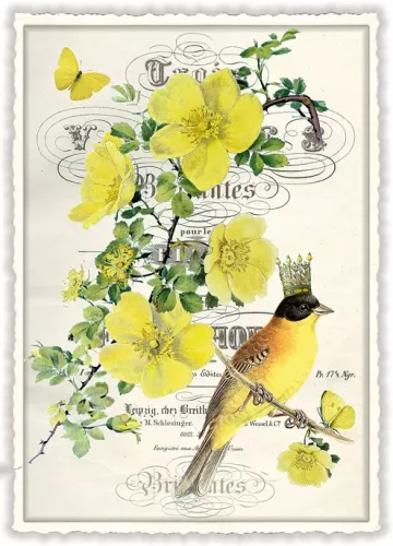 Buttercup, Postcard