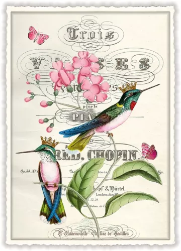 Flowers with Birds, Postcard