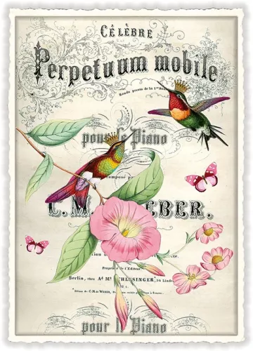 Petunia, Postcard