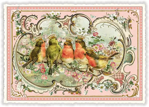 Birds, Postcard