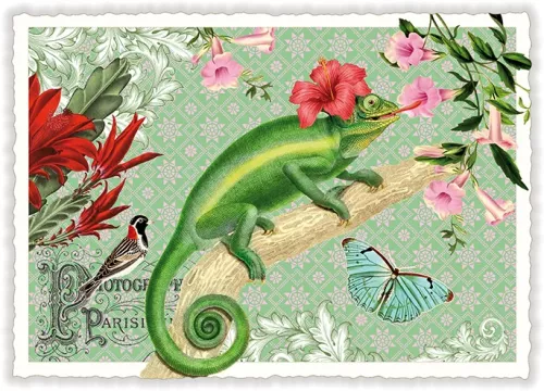 Chameleon, Postcard