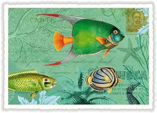 Fish in the Sea, Postcard