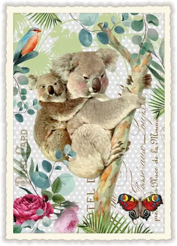 Choalas, Postcard