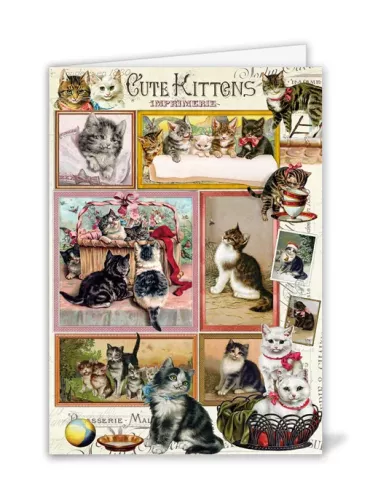 Cute Kittens, Greeting Card