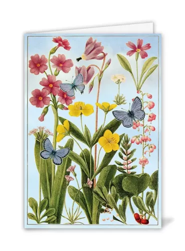 Blue Butterflies and Flowers, Greeting Card