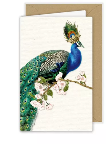 Beautiful Peacock, Greeting Card