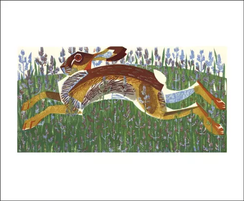 Hill Hare by Matt Underwood, Greeting card