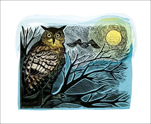 Owl and Moon by Angela Harding, Greeting card