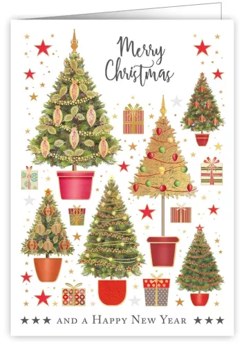 Christmas Trees In Pots With Presents, Mac Classic
