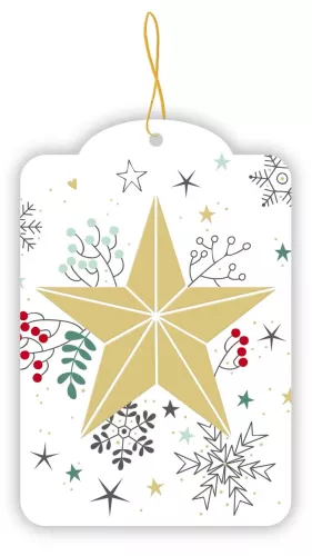 Star, Gift Tag pack