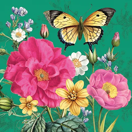 Fuchsia Garden, Greeting Card