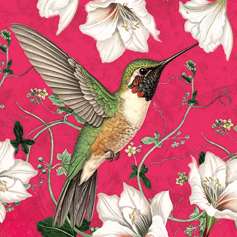 Magenta Paradise, Greeting Card