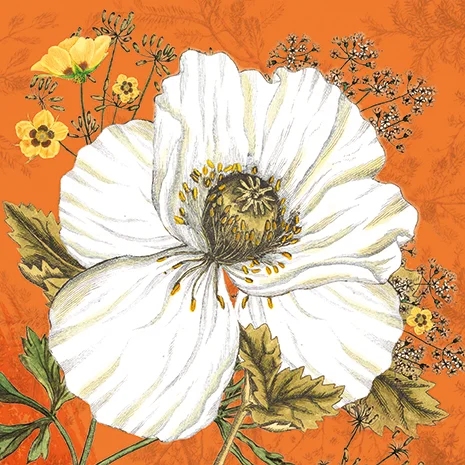 Saffron Bloom, Greeting Card