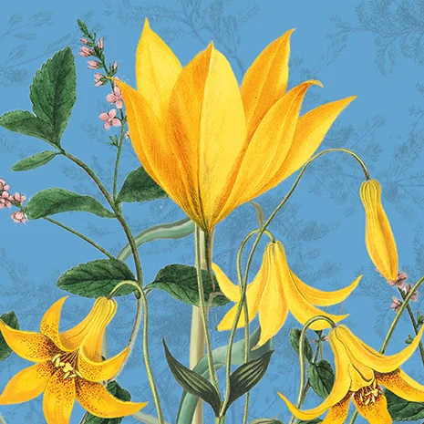Tuscan Sun, Greeting Card