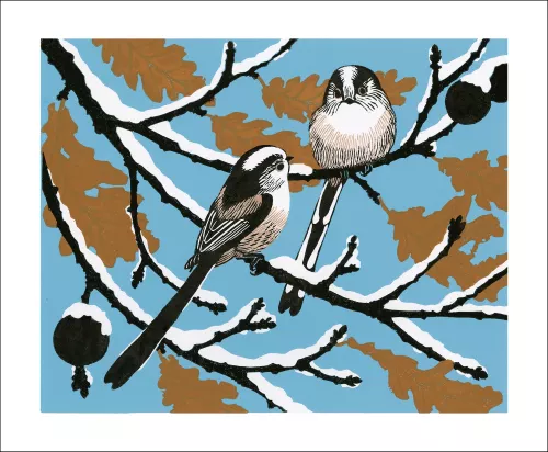 Winter Longtail, Greeting Card