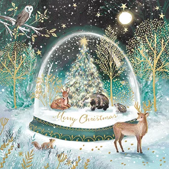 Magical Christmas, Christmas Box
