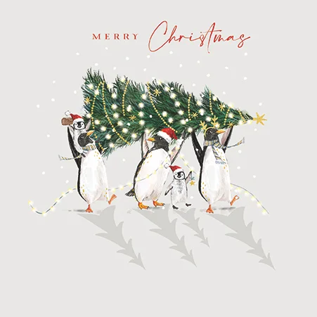 Penguin Party, Christmas Box