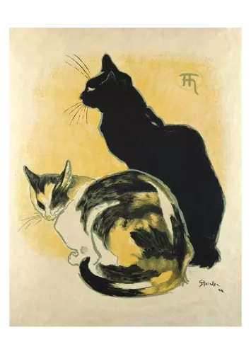 Cats - 50 Postcards