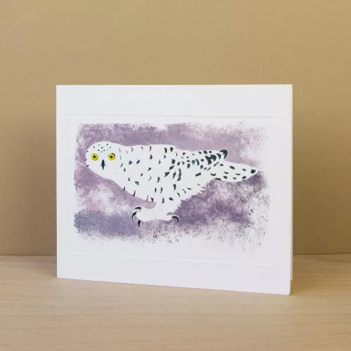 Arctic Visitor, Greeting Card