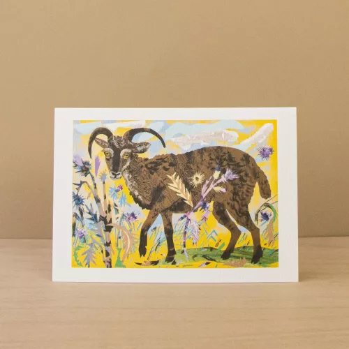 Soay Sheep & Hare, Notecard Wallet