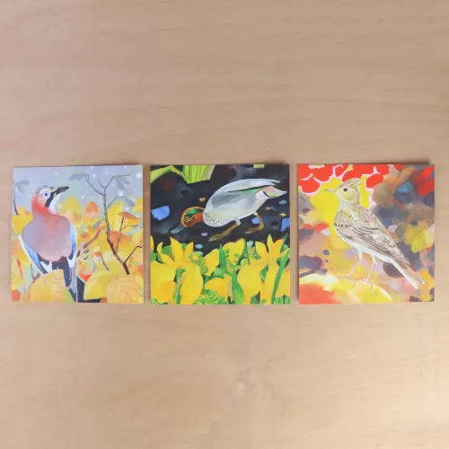 Bird Vignettes, Postcard Wallet