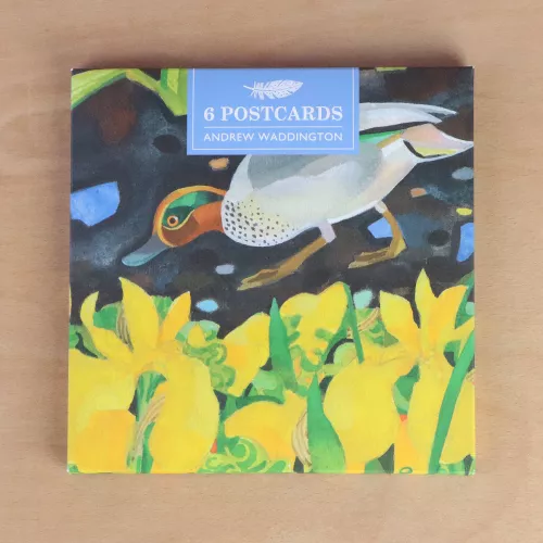 Bird Vignettes, Postcard Wallet
