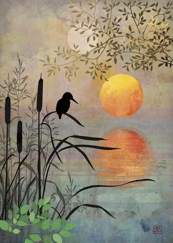 Kingfisher, Greeting Card