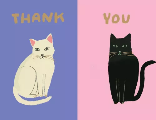 Cat Etticate Chic Notecard Box