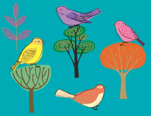 Modern Birds Chic Notecard Box